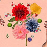 A bouquet of flowers is flanked by two hands.