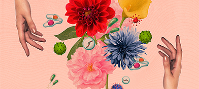A bouquet of flowers is flanked by two hands.