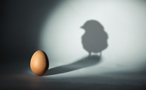 An egg under a spotlight casts a shadow of a chick against the wall.