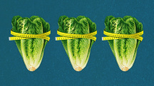 Three heads of cabbage are lined up in a row with measuring tape wrapped around each one.